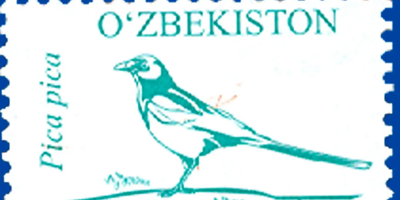 «Pochta» uchun namunaviy rasm